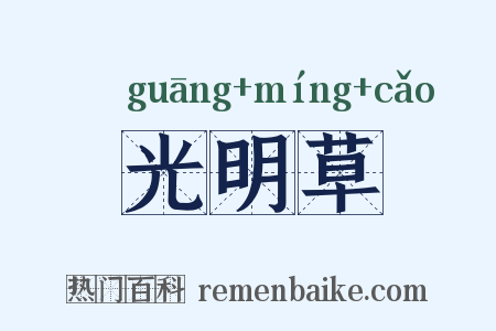 光明草是什么意思的图片